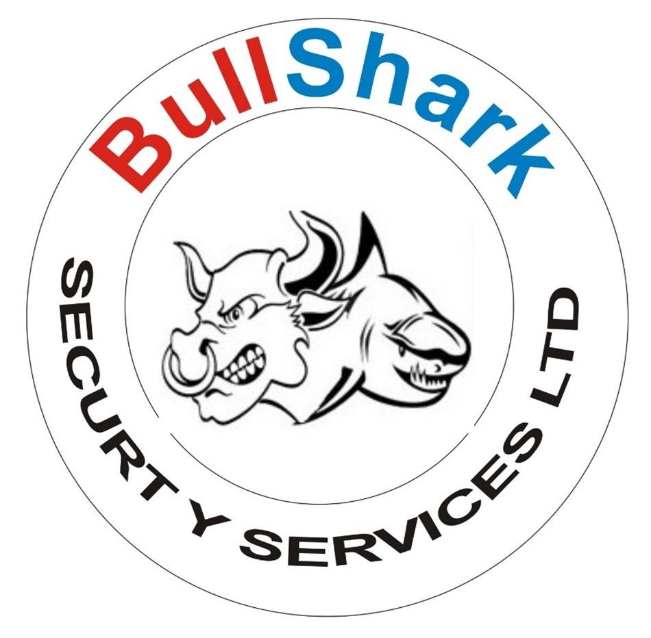 Bullshark Security